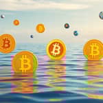 Cryptocurrency Clarity: Analyzing Digital Assets