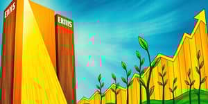 Capital Allocation Clarity: Where to Invest Your Funds Wisely