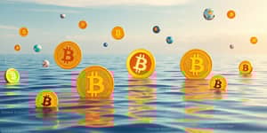 Cryptocurrency Clarity: Analyzing Digital Assets